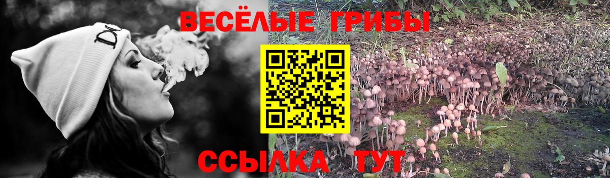 Галлюциногенные грибы мухоморы Ачинск