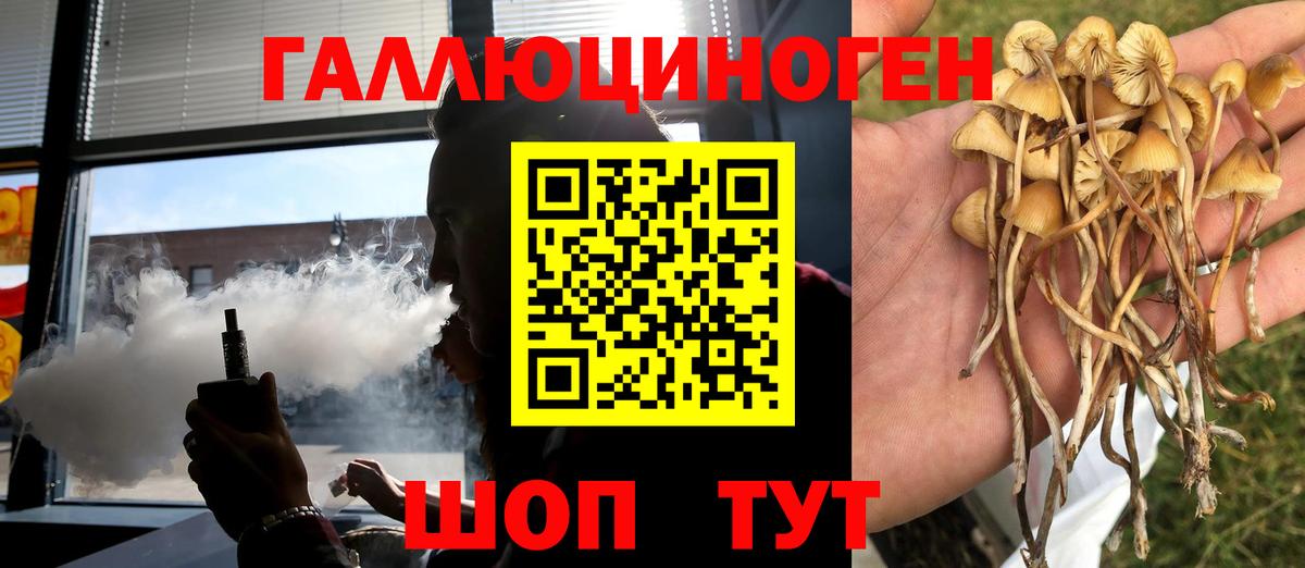 Псилоцибиновые грибы Psilocybe  Вход с VPN  Ачинск  Галлюциногенные грибы Cubensis 